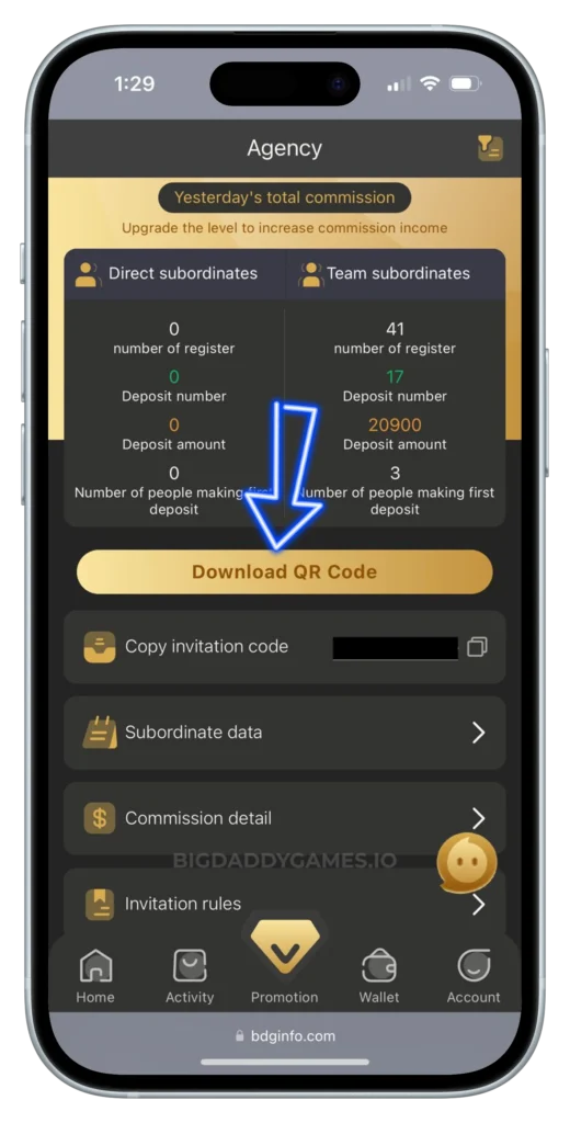 BIG-DADDY-PROMOTIONAL-PAGE